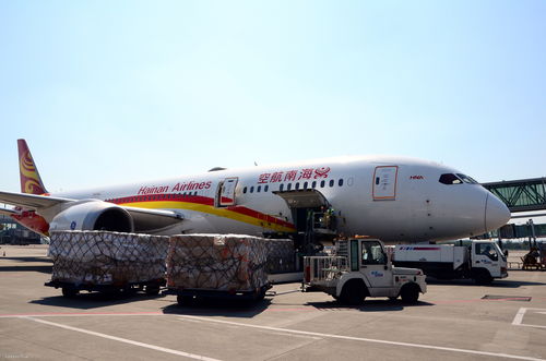 海航客改货航班执飞成都至纽约，畅通国际航空物流通道